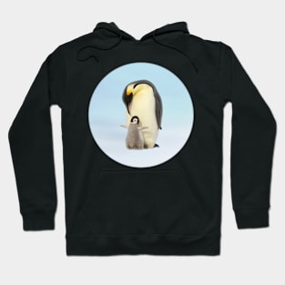 Save Penguin Hoodie